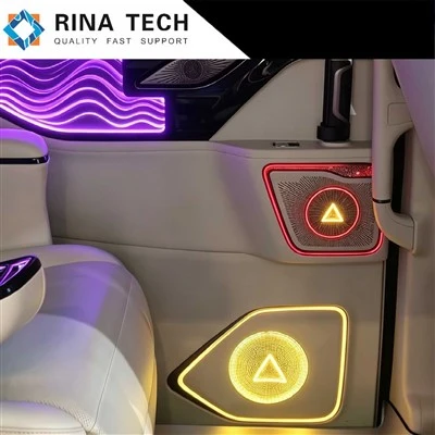Pannello retroilluminato per luce ambientale automobilistica
